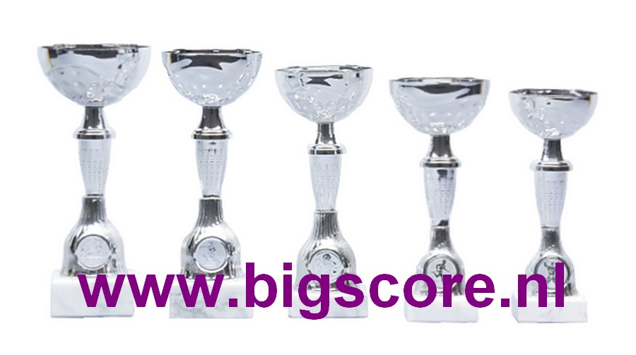 Z532 Beker Zilver